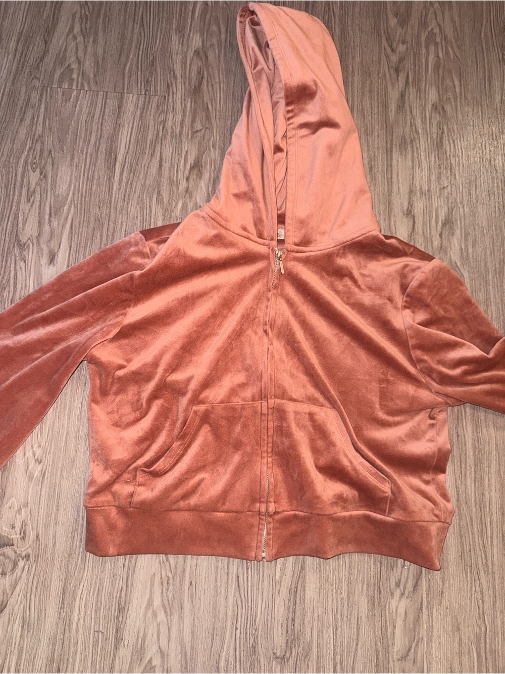 BE COOL Plush Zip Hoodie in Rose Clay